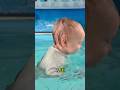 赤ちゃんのダイビングが凄すぎる 😱🏊 #Shorts