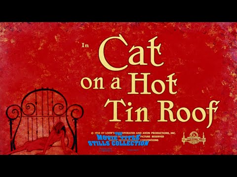 Cat on a