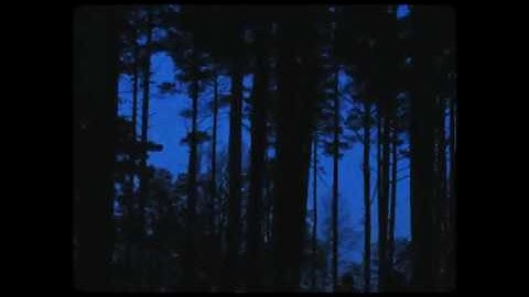Axel Flóvent - Tourist (Official Video)