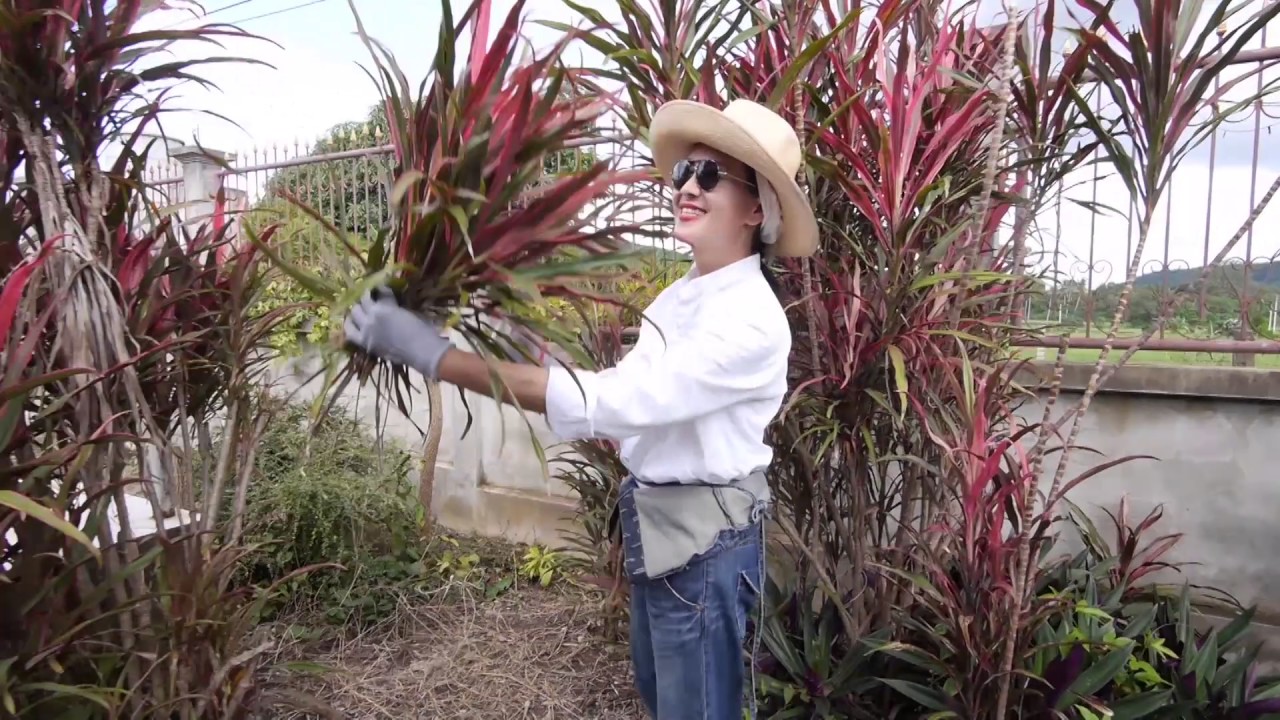 มิสแอนเดรียไดอารี่ EP40 18 ธ.ค.59