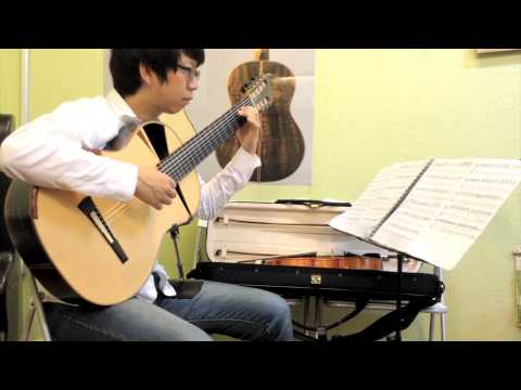 Variations on the Kanon(Canon, 캐논변주곡), Guitar Cover
