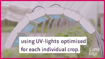 Meet Thorvald, the robot made for farming.