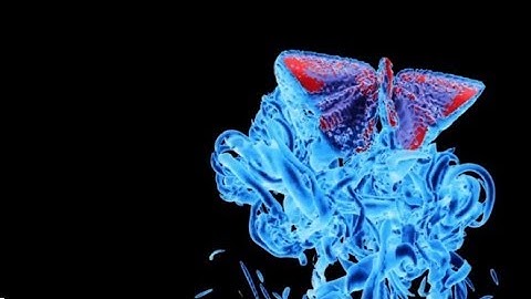 The "Butterfly Effect" Explained