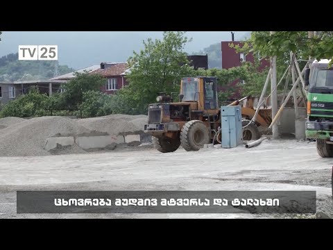 ცხოვრება მუდმივ მტვერსა და ტალახში