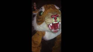 Tiger Tailgate #ManneguinChallenge!