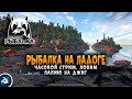 Русская Рыбалка 4 — Ладожское озеро, Палия