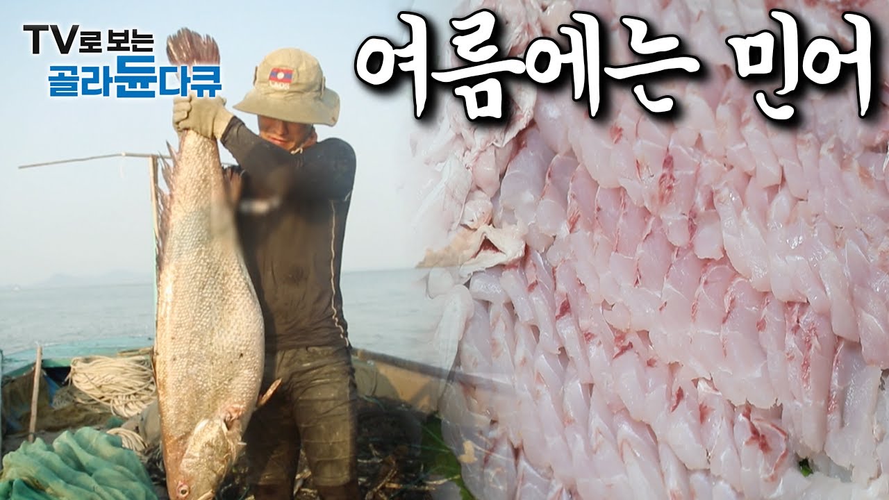 여름에 안찾으면 서운한 물고기｜버릴게 없는 ‘민어’ 전국 각지 민어 낚시부터 요리 모아보기｜한국기행｜#골라듄다큐