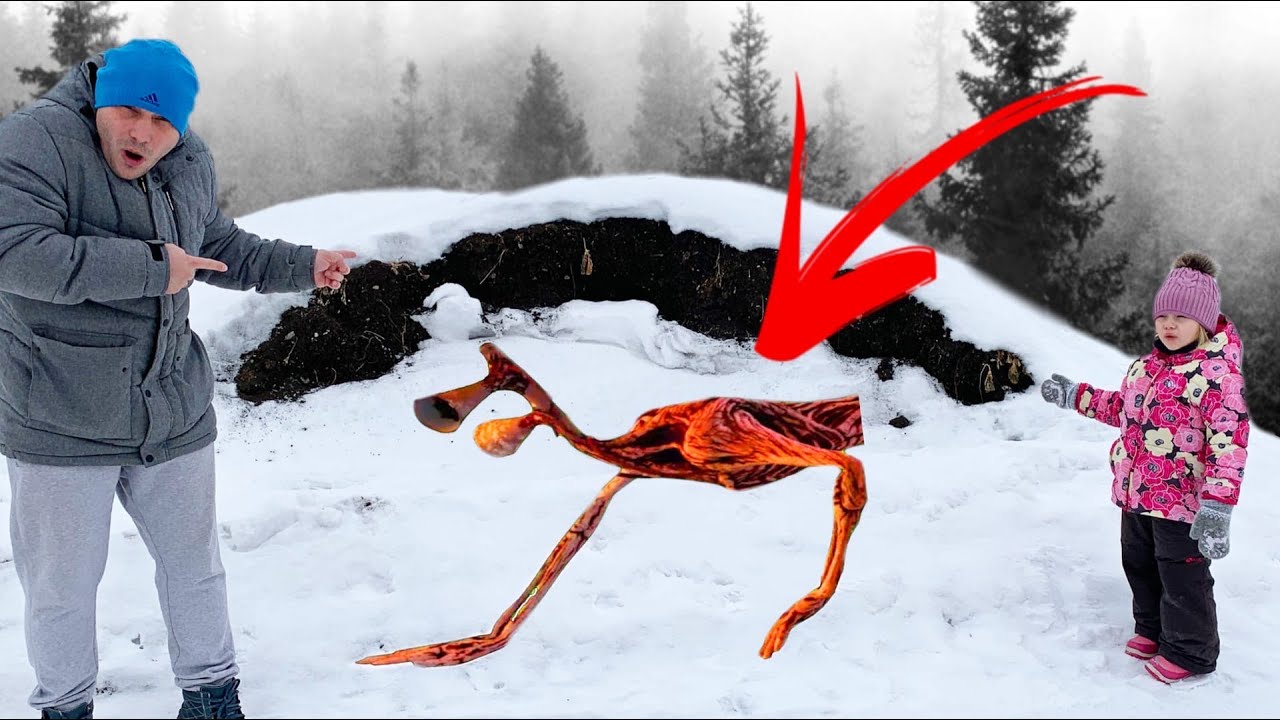 Сереноголововый Фото На Улице