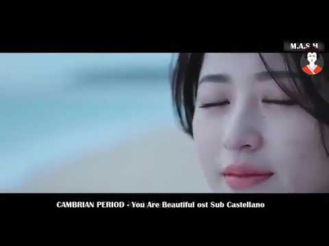 Heart Touching Sad Love Story qayamat ki raat Korean Mix Hindi Songs Cambrian period