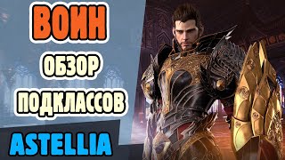 Astellia. Воин. Обзор подклассов