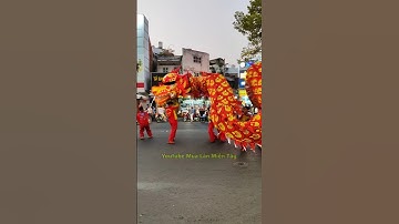Xuất Hiện Rồng Siêu To Khổng Lồ Đường Phố Tết Nguyên Tiêu 2025 #mualantet2025 #lansurong #liondance