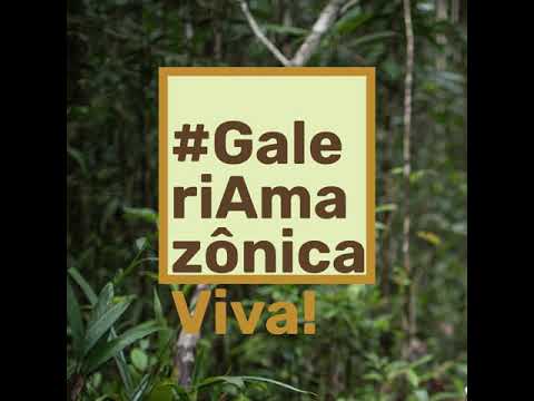 Ajude a manter a #GaleriAmazônicaViva!