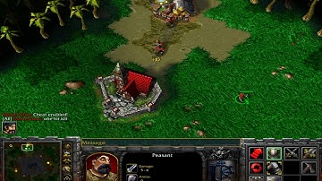 Warcraft3 CHEATS