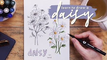How to Draw Daisies w/ FREE Worksheet!