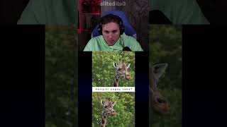 RRaenee Hangisi Yapay Zeka? #shorts