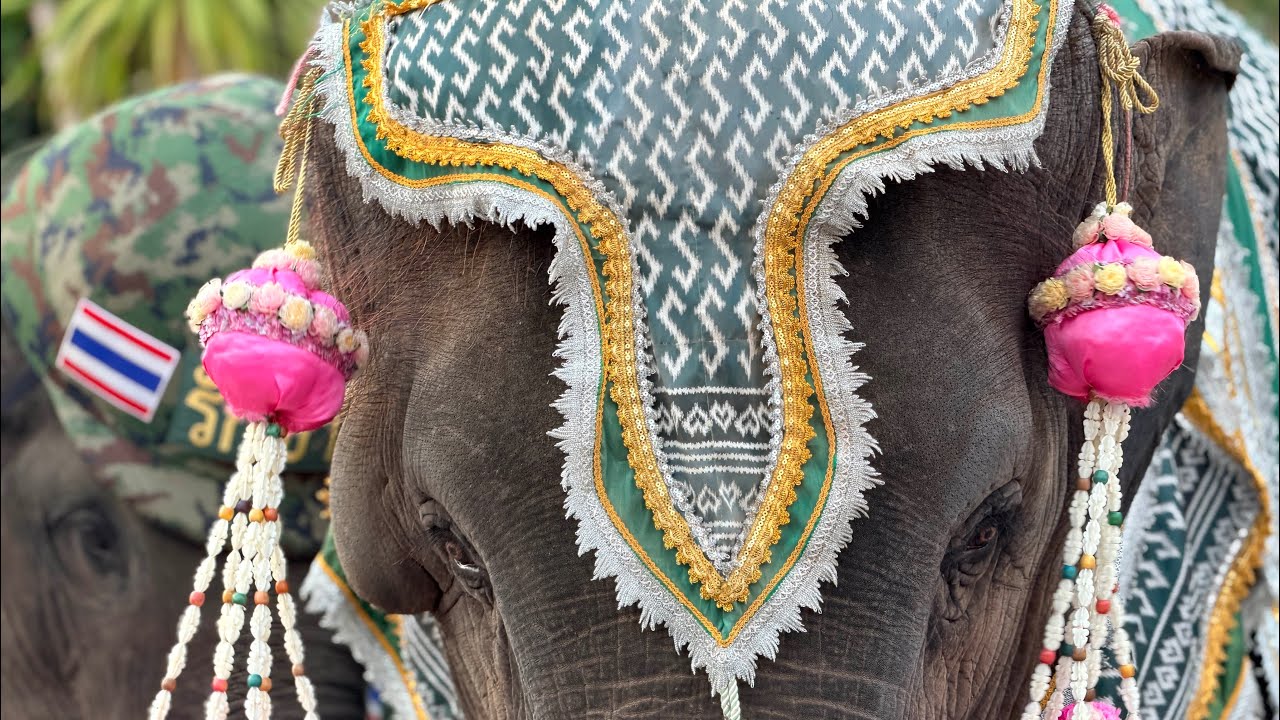 วันที่7ของงาน คนเยอะมาก❗️