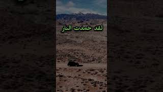 #اكسبلور #اقتباسات #كلام_من_ذهب #اقوال_وحكم #علم_النفس #لايك #إلهام #حكم #تصميم_فيديوهات