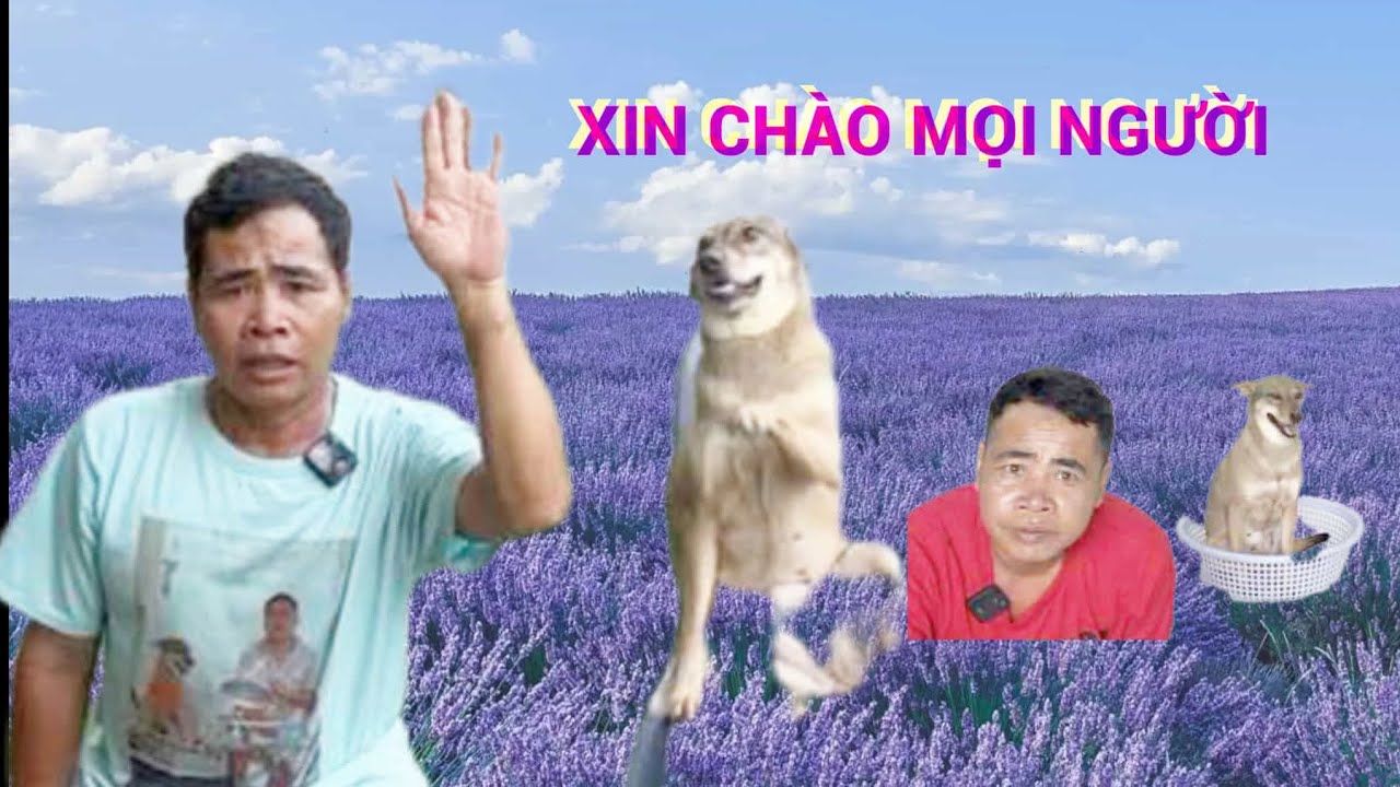 Chú chó biết bắt tay chủ