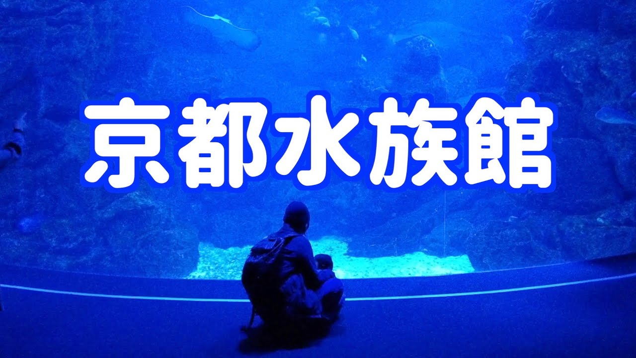 京都水族館ブラックライト水槽 Youtube 京都水族館ブラックライト水槽 Youtube
