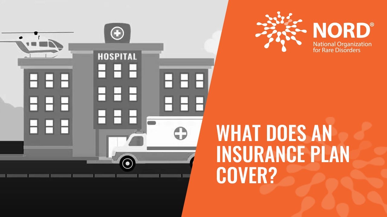 What Does an Insurance Plan Cover? YouTube