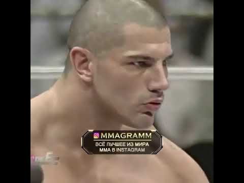 جنون الكبار في لحلبة