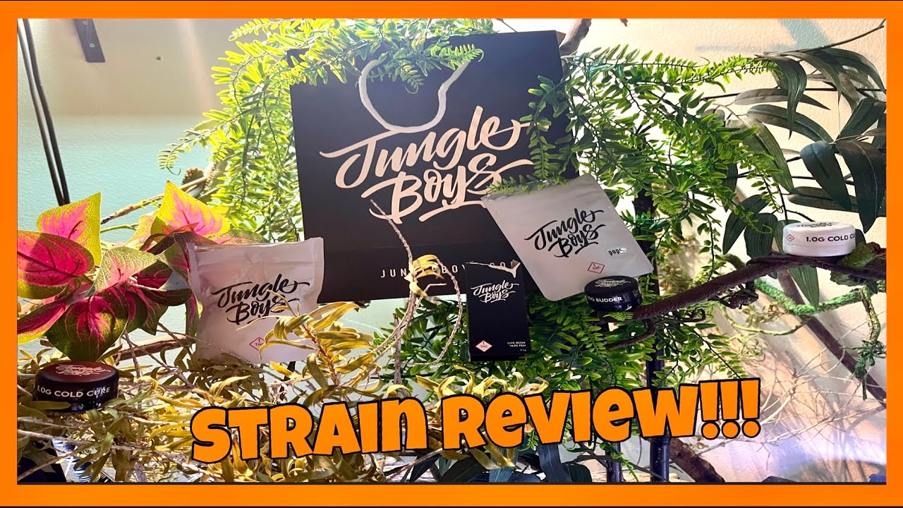 Jungle Boys THE BEST DISPO - Playing W 🔥 {Strain review}