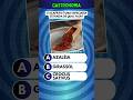 Quiz Conhecimentos Gerais - Gastronomia