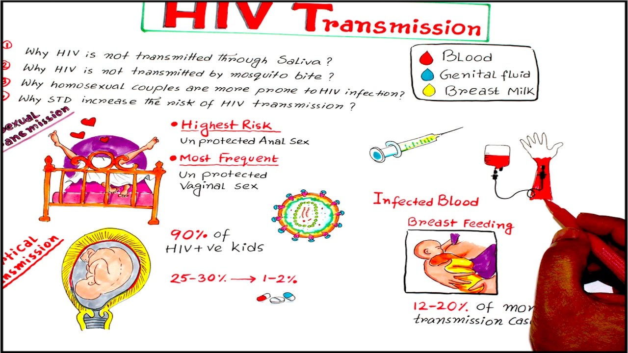  HIV  Transmission  and Prevention Lecture for USMLE NBDE 