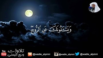 آيات مريحة للقارئ وديع اليمني ❤