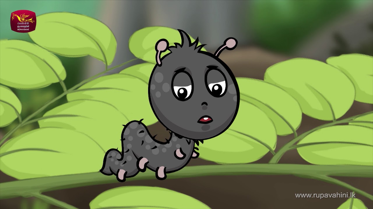 දළඹු පුංචා - Dalambu puncha - 01 - ළමා කාටුන්