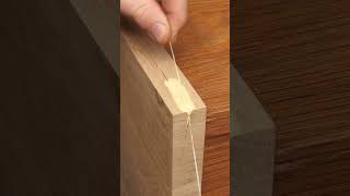 Fixing Wood with Dental Floss?! 😱
