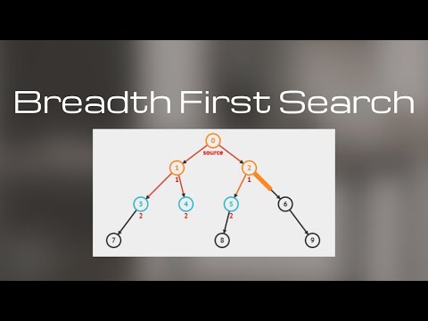 Algorithm series | Decrease and conquer #3 | Breadth First Search | Scholarly things