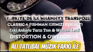 Türkiye’de Tek Ali Tatlıbal Tek Manyetik Whammyy Fıshman Ton Lesli & Dıstortıon Tek Saz’da