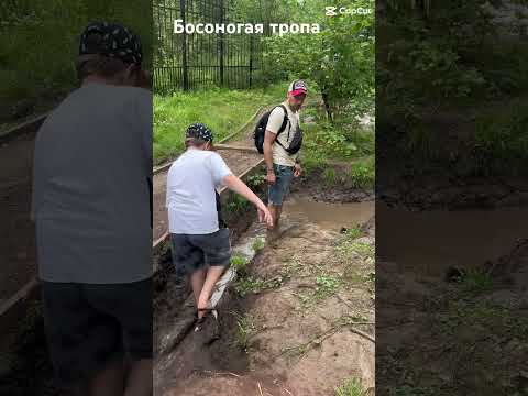 Грязные тропы Лосиный остров