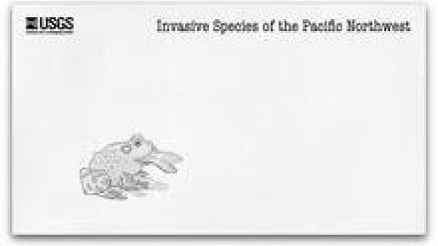 Invasive Species of the Pacific Northwest