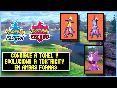 Cómo evolucionar Toxel a Toxtricity en Pokémon Espada y Escudo - Meristation