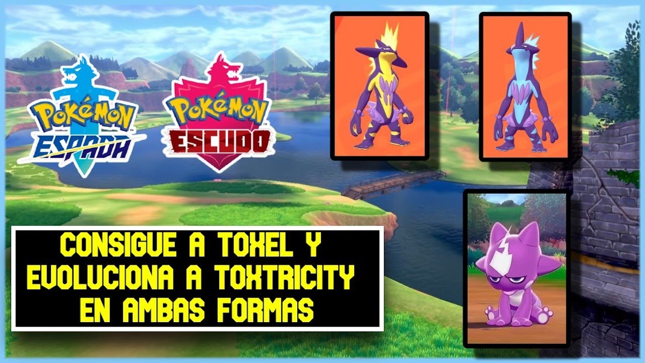 Cómo evolucionar Toxel a Toxtricity en Pokémon Espada y Escudo - Meristation