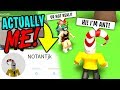 FAKE ANT ACCOUNT in ROBLOX *SHE BELIEVED IT*