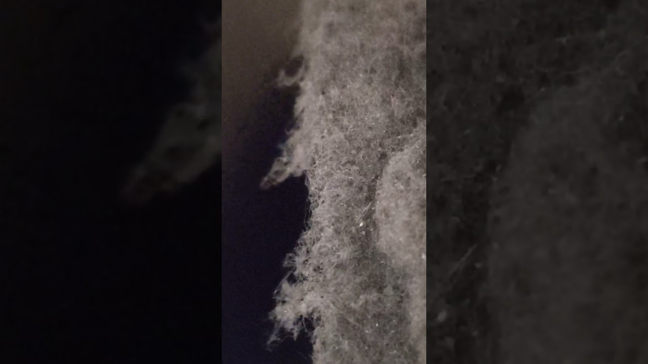 gym exercise equipment Huntington beach