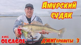картинка: Амурский Судак или ДЖИГернауты 3