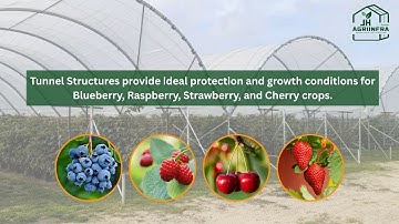 𝗛𝗶𝗴𝗵 𝗧𝘂𝗻𝗻𝗲𝗹 𝗙𝗮𝗿𝗺𝗶𝗻𝗴 𝗕𝗲𝗻𝗲𝗳𝗶𝘁𝘀 | 𝗧𝘂𝗻𝗻𝗲𝗹 𝗦𝘁𝗿𝘂𝗰𝘁𝘂𝗿𝗲𝘀 𝗳𝗼𝗿 𝗛𝗶𝗴𝗵-𝗩𝗮𝗹𝘂𝗲 𝗕𝗲𝗿𝗿𝘆 𝗖𝗿𝗼𝗽𝘀