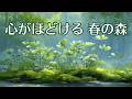 【1/fゆらぎ】森の癒し音楽　疲れた心と体をほぐす静かなひととき　| Forest Healing Music 3Hours