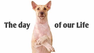 A Day Of Our Life Ni Theopot