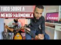 Escala Menor Harmônica - Entenda sua origem e aplicação básica. #MenorHarmônica #AuladeGuitarra