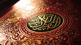 سورة التكاثر عبدالله الجهني