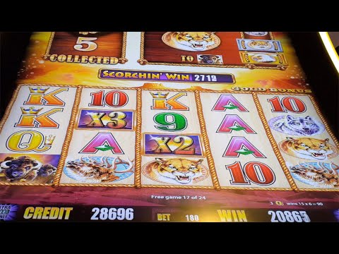 Mini Infantil Casino Tango