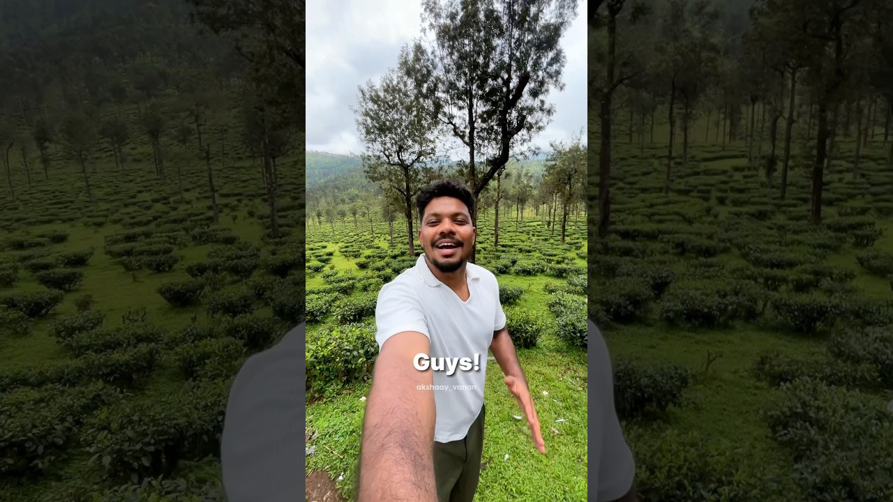 😍Beautiful - VALPARAI MONSOON IS just wow💚 