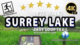LETS WALK! Surrey Lake Park Loop Trail - Cloudy Stroll through Wood & Water Neighborhood - Lo-fi