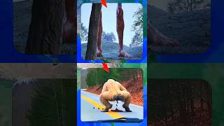 Two Amazing New vs Old Top Secret 😱😶‍🌫️ On Google Maps And Google Earth 🌎 #shots #datacontrol4u