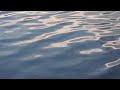 Palingenesi dell'Essere - video iniziale